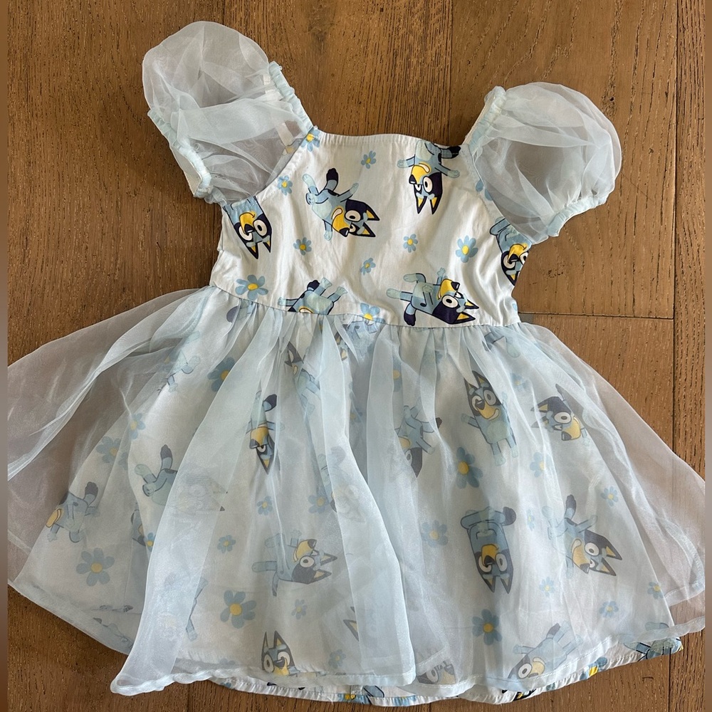 Light Blue Puff-Sleeve Character Tulle Dress for Kids